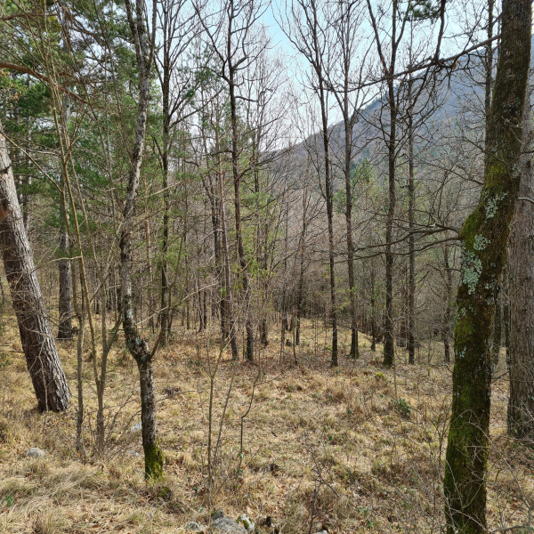 Offres de vente Terrain Saint-Vallier-de-Thiey 06460