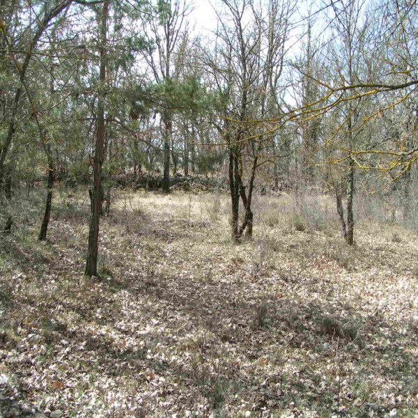 Offres de vente Terrain Saint-Vallier-de-Thiey 06460
