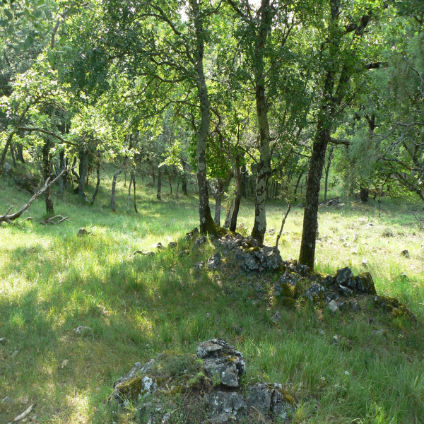 Offres de vente Terrain Saint-Vallier-de-Thiey 06460