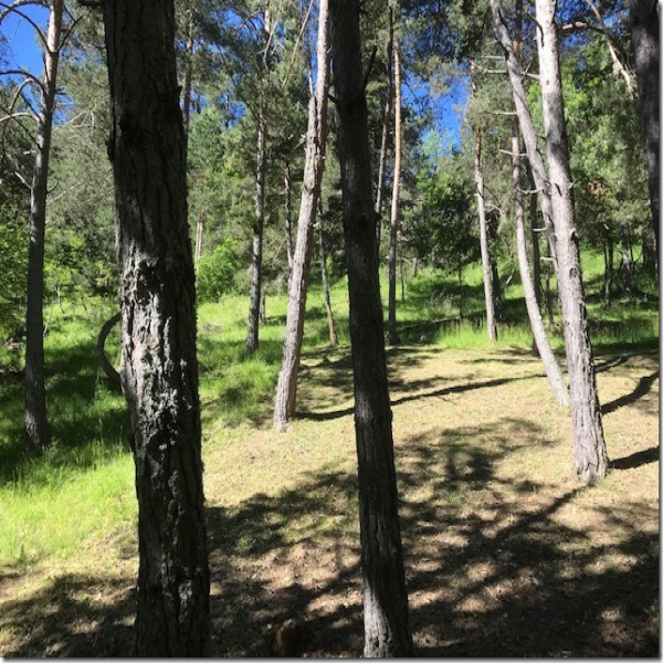 Offres de vente Terrain Le Mas 06910