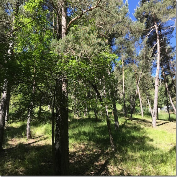 Offres de vente Terrain Le Mas 06910