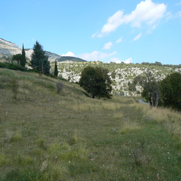 Offres de vente Terrain Escragnolles 06460