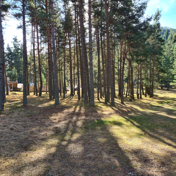 Offres de vente Terrain Caille 06750