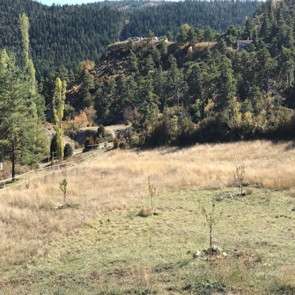 Offres de vente Terrain Andon 06750