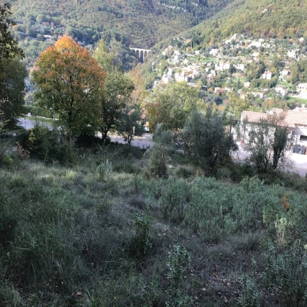 Offres de vente Terrain Tourrettes-sur-Loup 06140