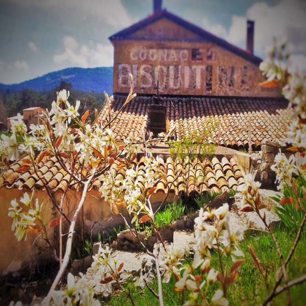 Offres de vente Bastide Séranon 06750