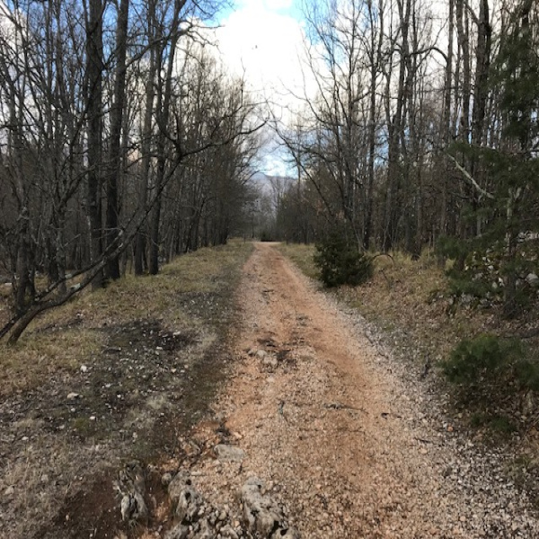 Offres de vente Terrain Saint-Vallier-de-Thiey 06460