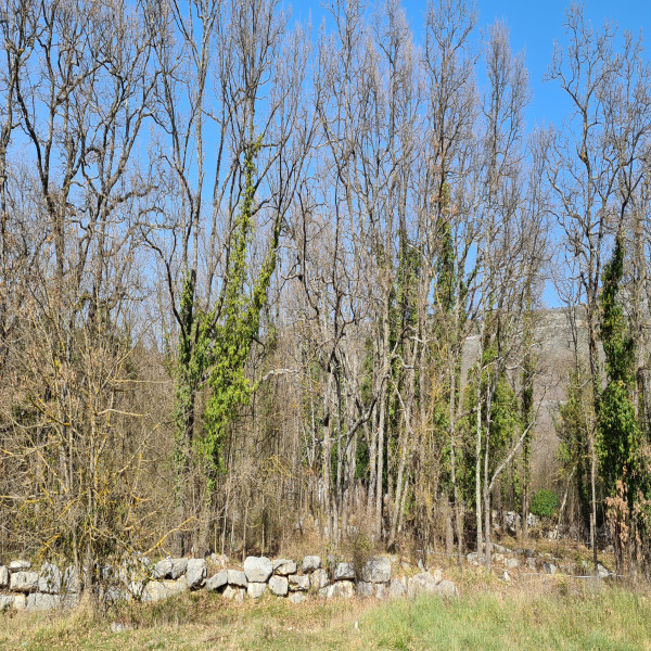Offres de vente Terrain Saint-Vallier-de-Thiey 06460
