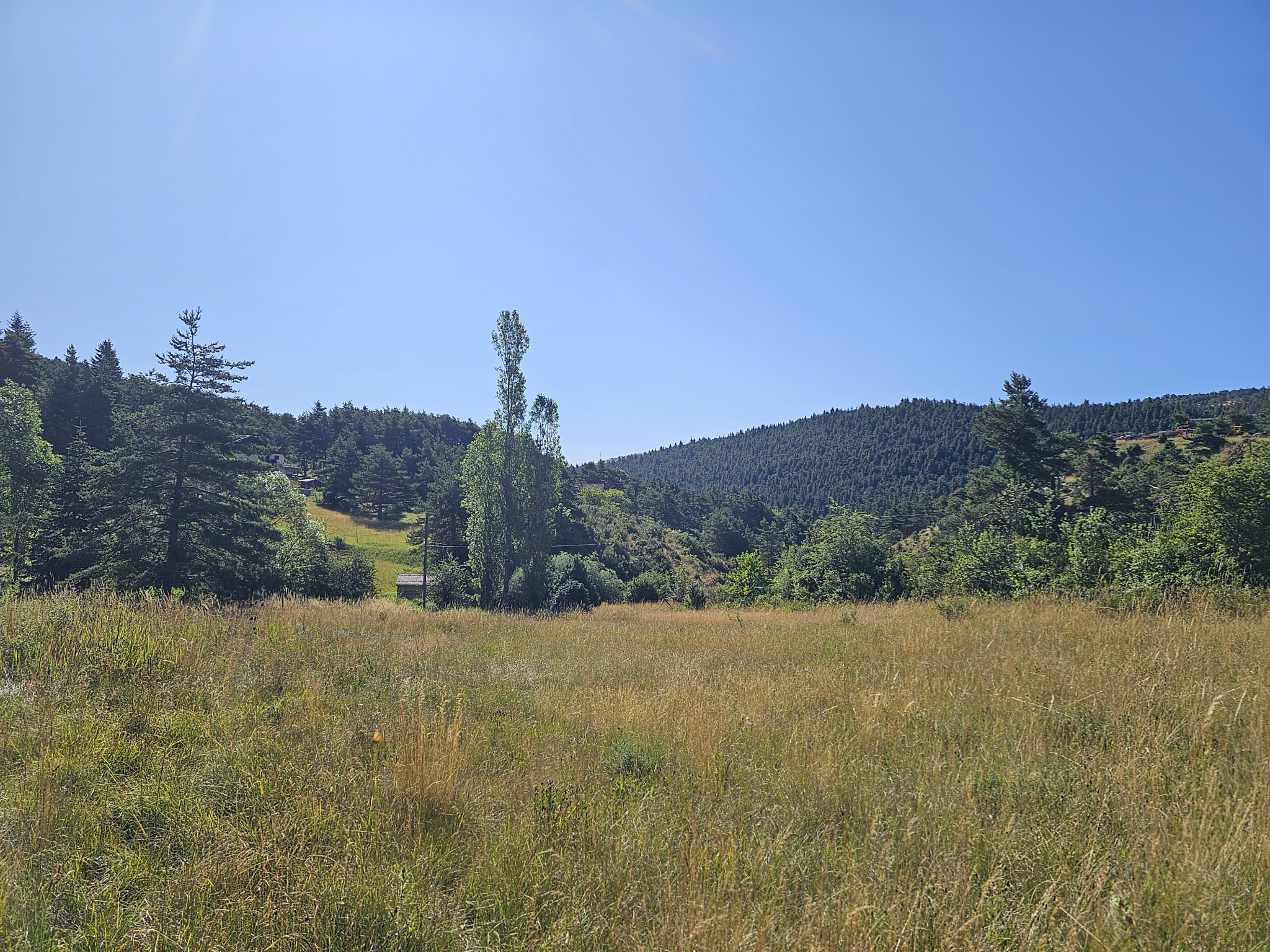 Photo bien immobilier